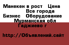 Манекен в рост › Цена ­ 2 000 - Все города Бизнес » Оборудование   . Мурманская обл.,Гаджиево г.